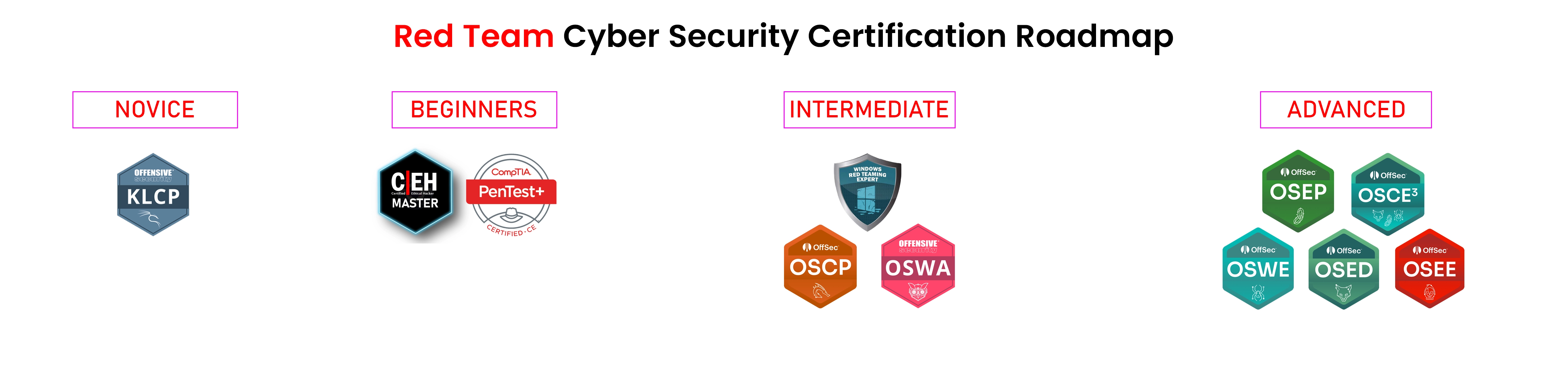 Red Team Cyber Security Certification Roadmap